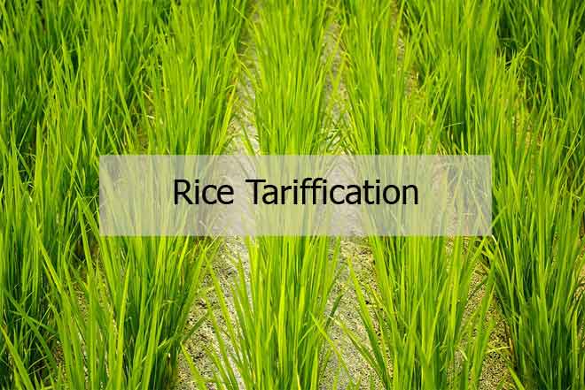 What is Rice Tariffication law