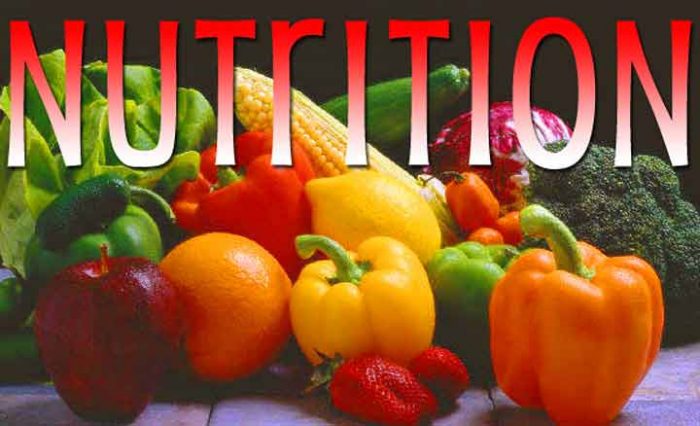 What Is The Importance Of Nutrition