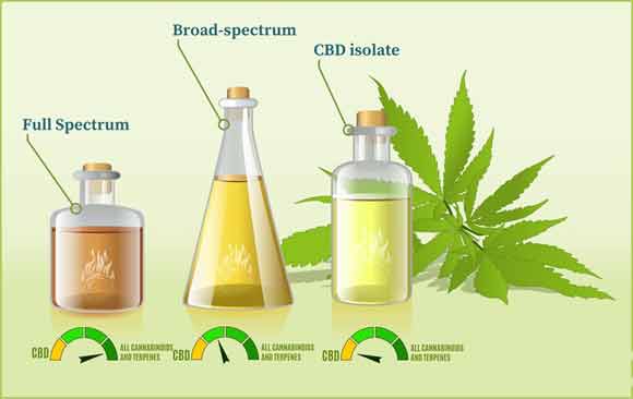 What are the uses of CBD oil