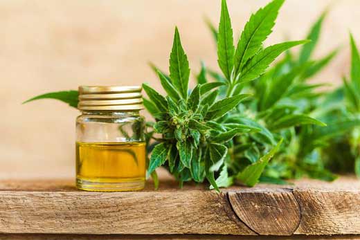 Methods for knowing if the CBD oil is pure