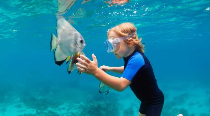 Basic Things To Know About Snorkeling