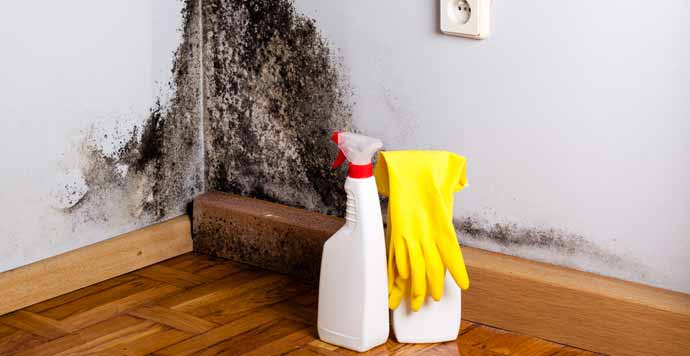 How to Clean a Really Dirty House